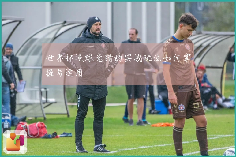 世界杯滚球竞猜的实战玩法如何掌握与运用