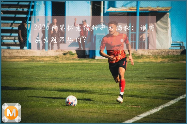 2026世界杯竞猜赔率大揭秘：谁将成为冠军热门？