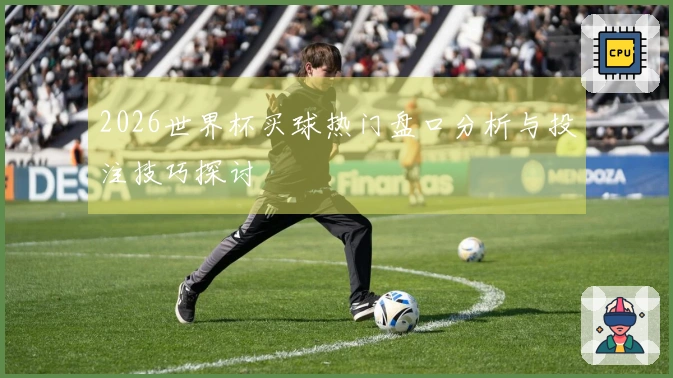 2026世界杯买球热门盘口分析与投注技巧探讨