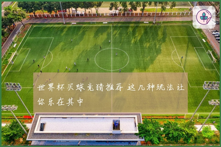 世界杯买球竞猜推荐 这几种玩法让你乐在其中
