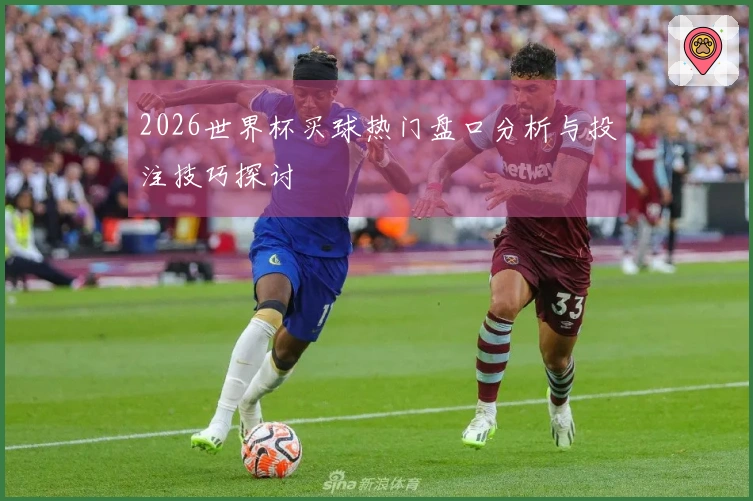 2026世界杯买球热门盘口分析与投注技巧探讨