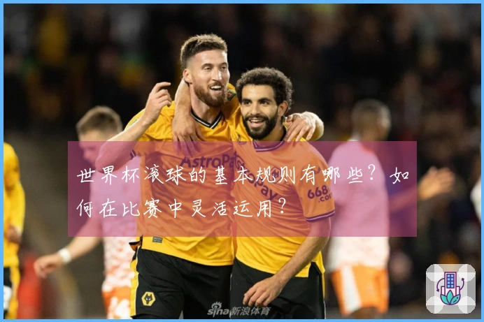 世界杯滚球的基本规则有哪些？如何在比赛中灵活运用？