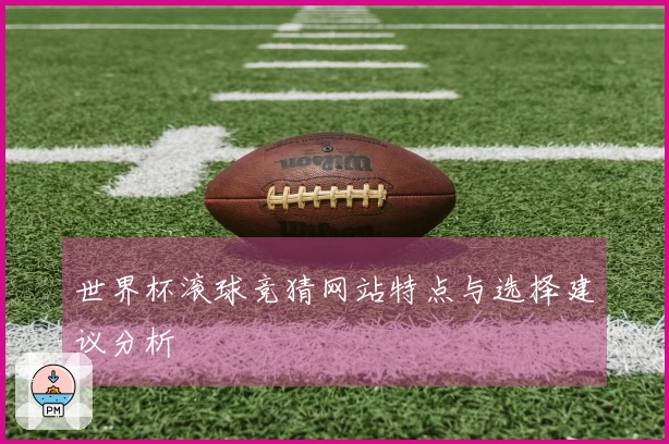 世界杯滚球竞猜网站特点与选择建议分析