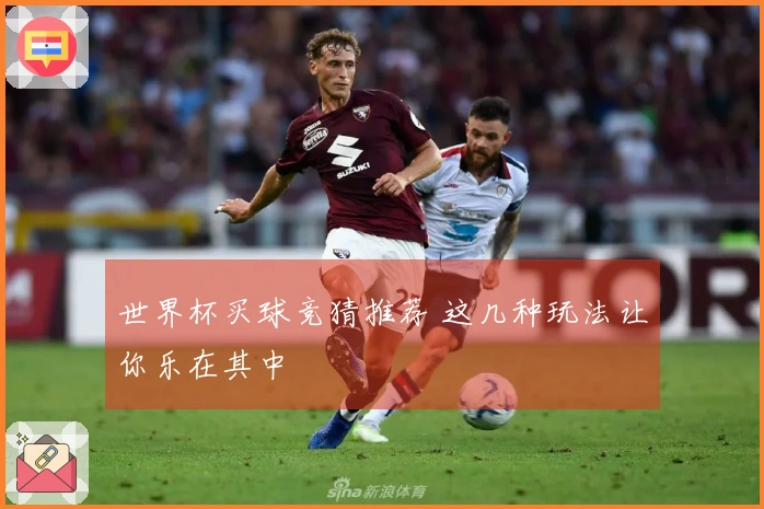 世界杯买球竞猜推荐 这几种玩法让你乐在其中