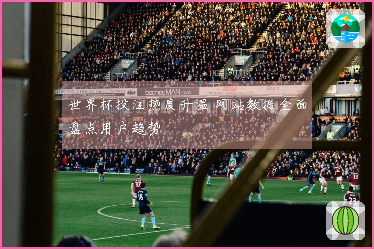 世界杯投注热度升温 网站数据全面盘点用户趋势